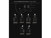 PRS SE CE24 Standard Stoptail SMG PRS SE CE24 Standard Stoptail SMG